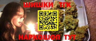 индика Мариинск