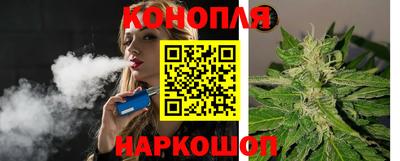 индика Мариинск
