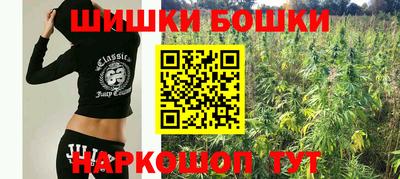 индика Мариинск