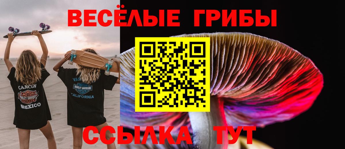 Грозный  Галлюциногенные грибы мухоморы  Вход с VPN 