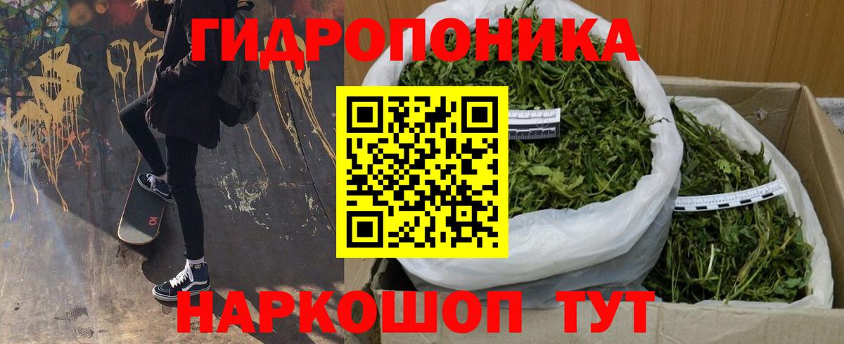 Грозный  Бошки Шишки семена  Канабис марихуана  Бошки Шишки сатива  Вход с VPN  Конопля гибрид 